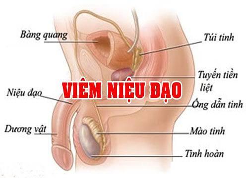 viem-nieu-dao-o-nam-gioi.jpg